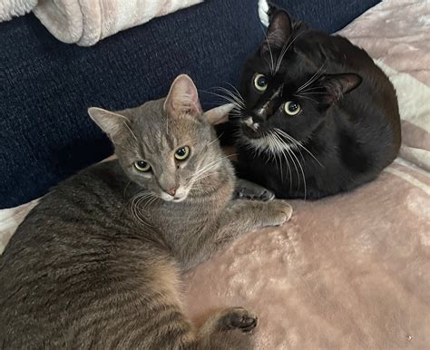 Weekend Open Thread June 22 23 2024 Ask A Manager